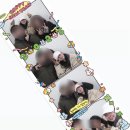 가연신