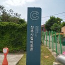 미술관, 전시) 청주시립미술관 방문 관람 후기