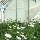 김정순농장 이미지