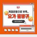 한질 | 요가 질방귀 원인, 케겔운동으로 부족하다면? 질성형 후기 좋을까?