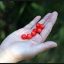 라원농장 이미지