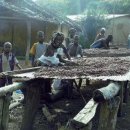 에브라임농장 이미지