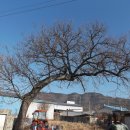 오현경로당 이미지