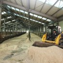 한우연구소 이미지