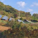 제일좋은 태양광발전소 이미지