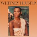 All At Once - Whitney Houston 이미지