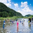 수미축산 뉴시스