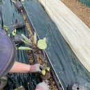 대로농약자재 이미지