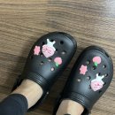 몽구세천 이미지