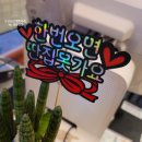 육꼬집플러스 이미지