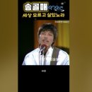 송골매7080라이브 네이버블로그