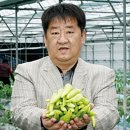 당조 이미지