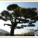 합천군문화예술회관 이미지