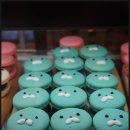 더마카롱 이미지