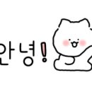강화에이스공인중개사사무소 이미지