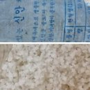 포항생선장수