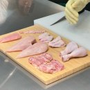 (유)신해피투어 | [하림 유니버스3기🐔] 하림 HCR 투어 후기 (누구나 체험할 수 있는 HCR투어!)