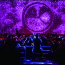 몸으로 그리는 예술, 현대무용의 세계 이미지