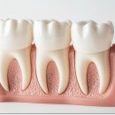 송파본치과의원 이미지