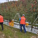 길안면행정복지센터 이미지