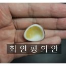 최인평의안 이미지