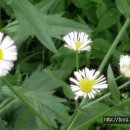 신도세탁소 이미지