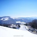 파란목장 이미지