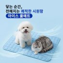 펫119 | 펫거스 강아지 쿨매트 냉감패드 후기 | 리뷰 119개 여름 애견 냉감 솔직 정리