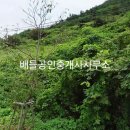 삼산면-8 이미지