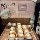 아비꼬카레우동덮밥돈까스 | 물가비싼 일본에서 찾은 텐진 실속 맛집<우동 카레돈까스 명란빵 Best4>
