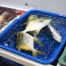 통영중앙전통시장 이미지