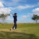 리버트리 이미지