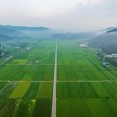 소보시장 이미지