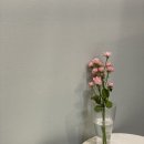 중앙동322 이미지