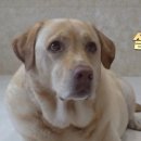 종례농장 이미지