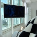 펫블리강아지&미라클고양이 | 남들보다 뒤쳐지고 있다는 생각이 들 땐