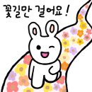 세계주류 이미지