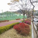북삼약국
