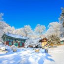 단빵마을 이미지