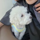 품안헤어샵