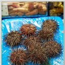 동희수산 이미지