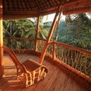 대나무집 이미지