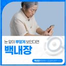 알파서울안과의원 이미지