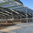 농업회사법인 유한회사 한우야 이미지