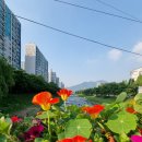 봉메밀 (검단산점) 이미지