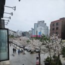 김명후다이어트복싱클럽 이미지