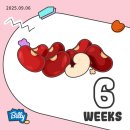 [일원1] 나의 피부를 설계하다 (6주: 3/4~4/8) | [임신기록] 임신 6주-16주차 증상 및 기록