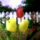 들말공인중개사사무소 이미지