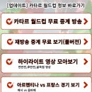 카타르 월드컵 아르헨티나 프랑스 실시간 무료 인터넷 중계 방송 MBC, KBS, SBS, 티빙, 쿠팡플레이, 네이버 하이라이트 재방송 이미지