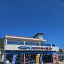 강원도 고성 거진항 시원한 물회와 회덮밥 고성 소영횟집